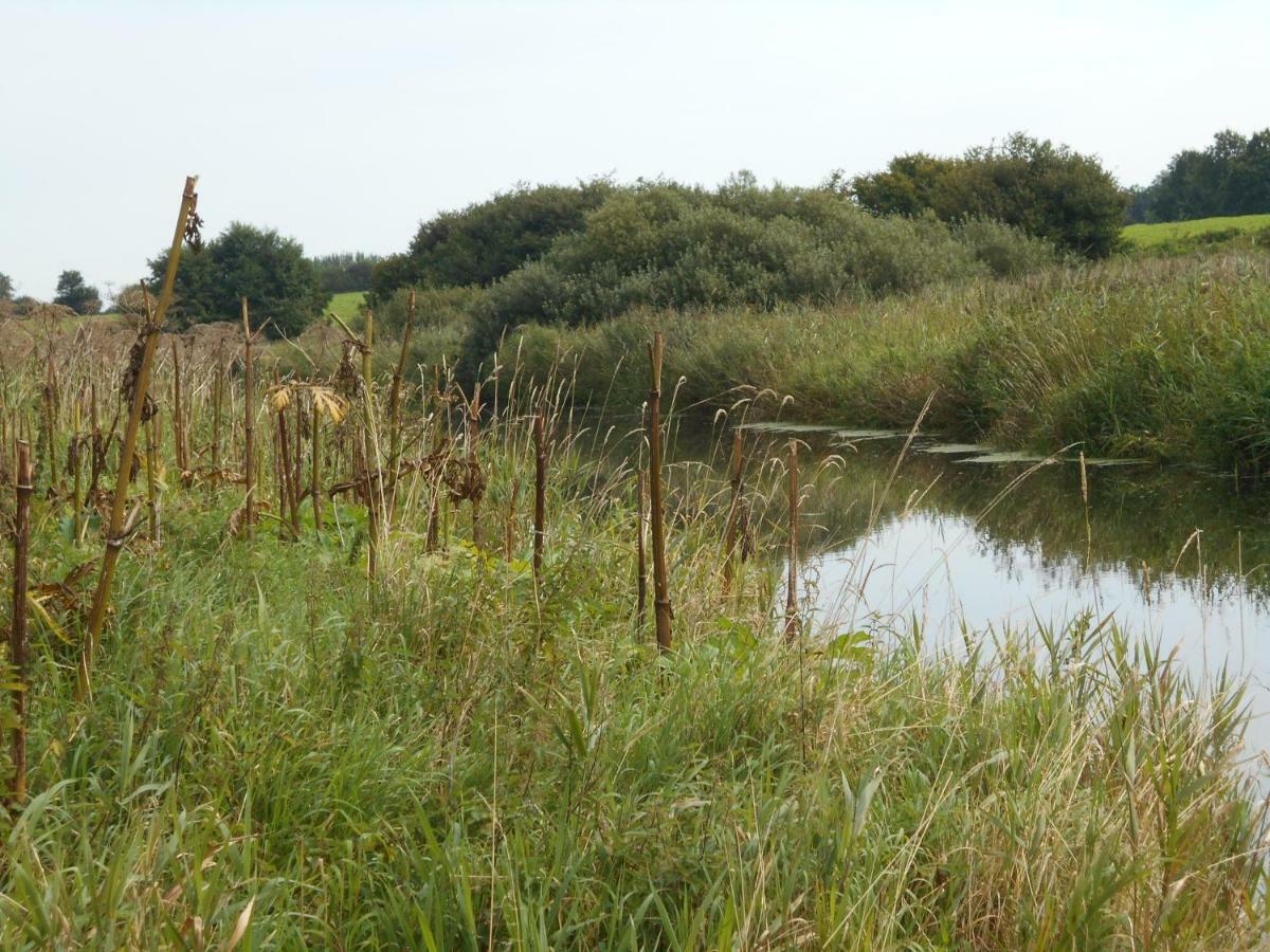 Fewo Fleckeby An Der Schlei 아파트 외부 사진